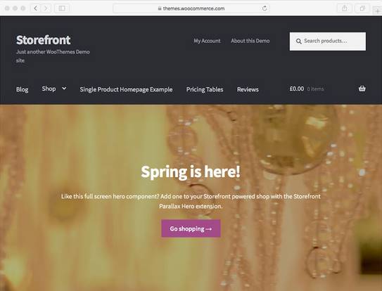 ecommerce theme storefront