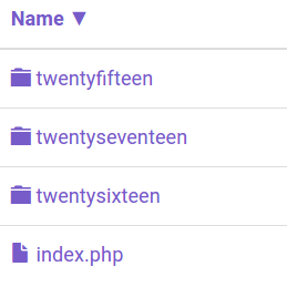 Finding existing WordPress themes via File Manager