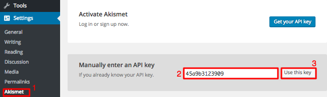 nhập key api akismet wordpress