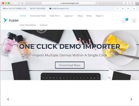 theme wordpress ecommerce tốt nhất flash