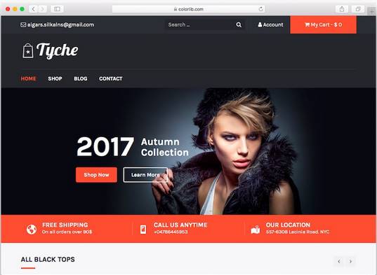 wordpress theme ecommerce tyche