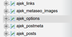 wp-options table ví dụ trong WordPress MySQL database qua phpmyadmin