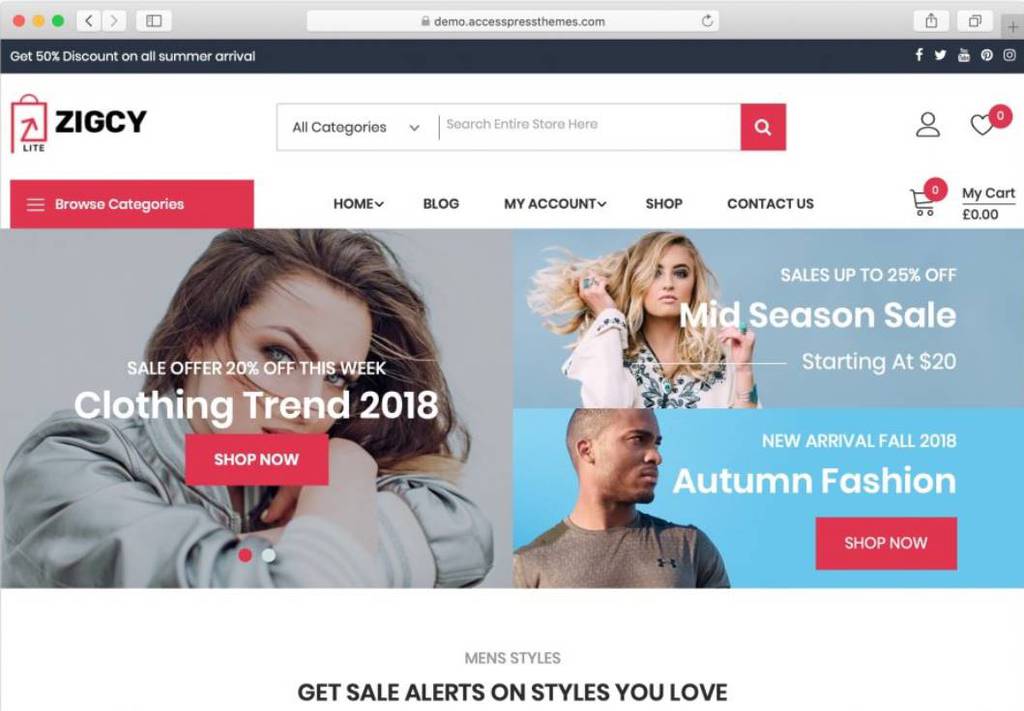 ziggy theme WordPress free
